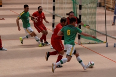 Futsal