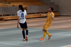 Futsal