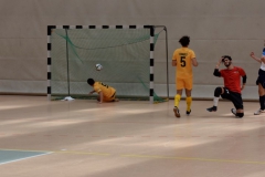 Futsal