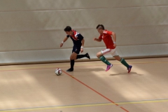 Futsal