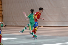 Futsal