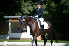 Dressage