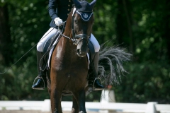 Dressage