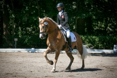 Dressage