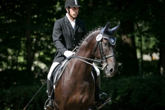 Dressage