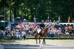 Dressage