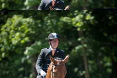 Dressage