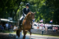 Dressage