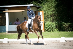 Dressage