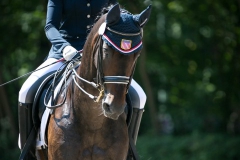 Dressage