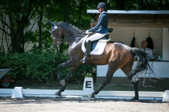 Dressage