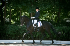 Dressage