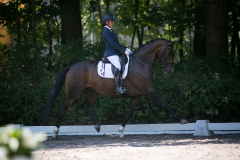 Dressage
