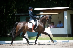Dressage