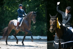 Dressage