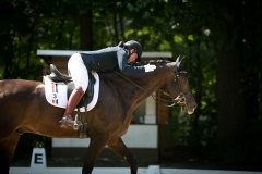 Dressage
