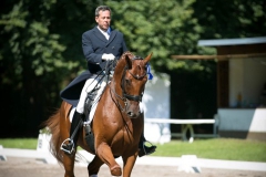 Dressage