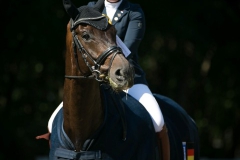 Dressage