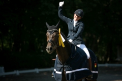 Dressage