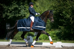 Dressage
