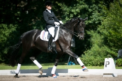 Dressage