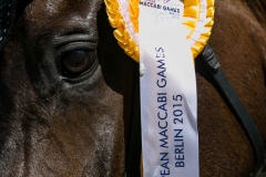Dressage
