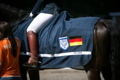 Dressage