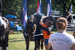 Dressage