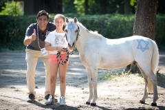 Dressage