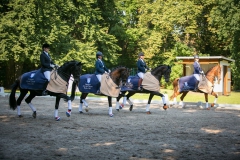 Dressage
