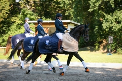 Dressage