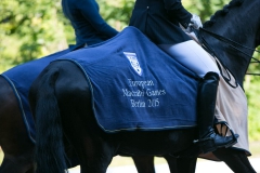 Dressage