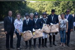 Dressage