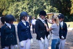 Dressage
