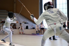 Fencing