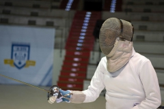 Fencing