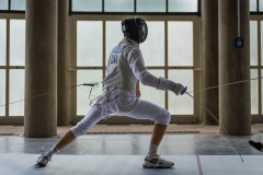 Fencing