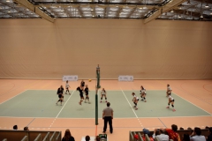 Volleyball