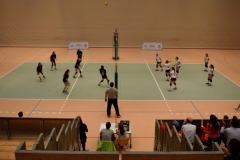 Volleyball