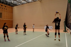 Volleyball