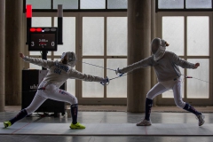 Fencing