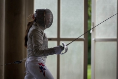 Fencing