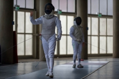 Fencing