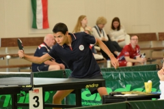 Table Tennis