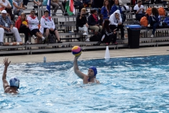 Water Polo