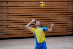 Volleyball