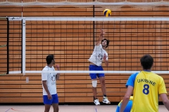 Volleyball